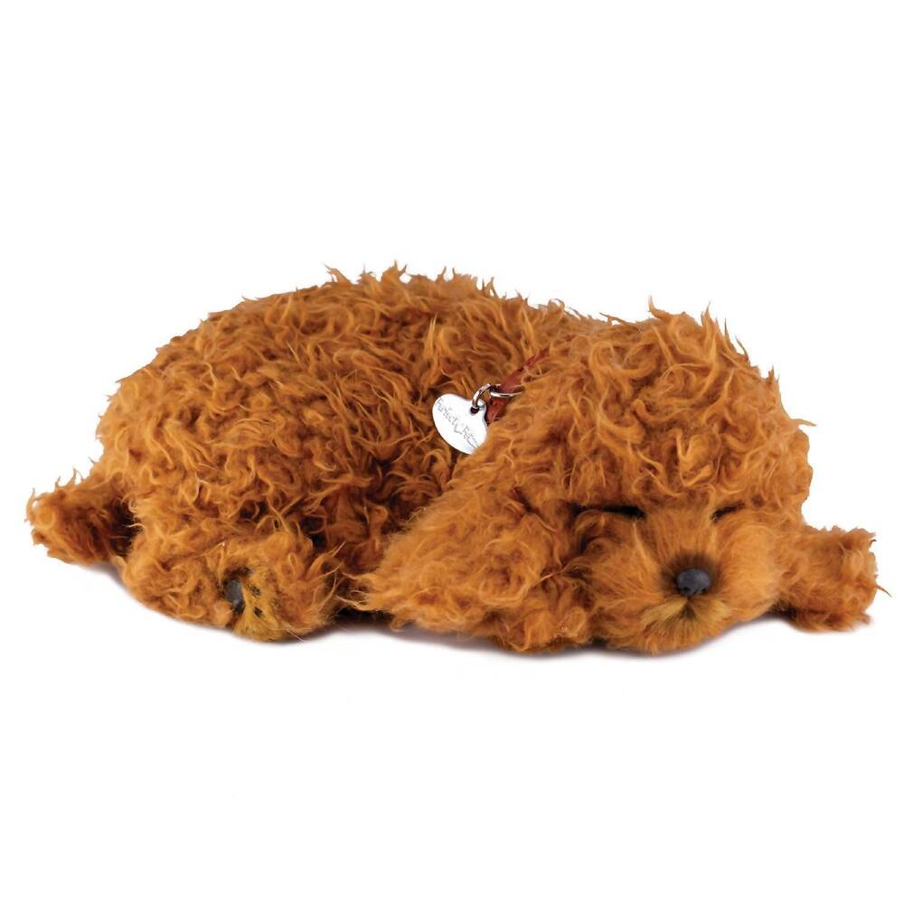 NEW PERFECT PETZZZ toy poodle breathing pet in brown